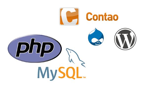 PHP & MySQL Webentwicklung: Programmierung & Entwicklung
